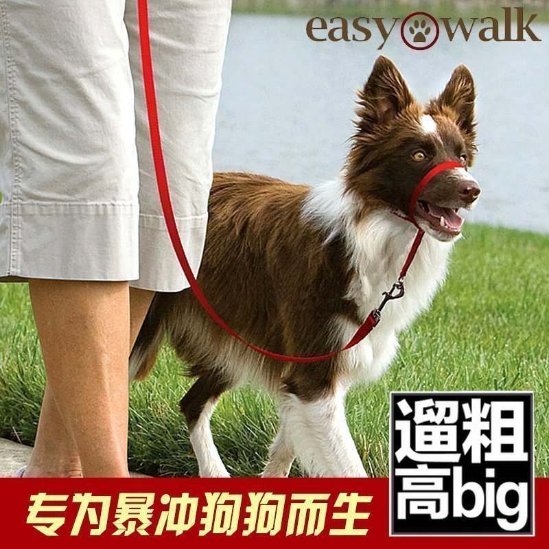 包邮美国petsafe宠物 easy walk防暴冲头部牵引绳狗链牵引带 口环