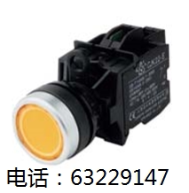 长江电器 带灯按钮开关 CJK22-10PD 11PD 20PD