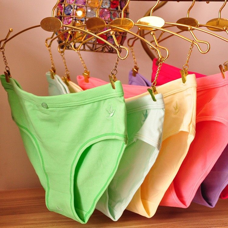 Slip jeune T2 en coton - Ref 647970 Image 1