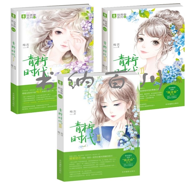 正版书 现货 包邮 意林致青春系列 青柠时代全集 青柠时代1—3 全3册
