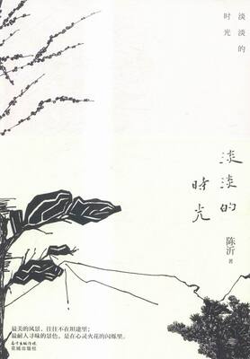 正版 淡淡的时光 陈沂 书店 中国现当代随笔书籍 书 畅想畅销书