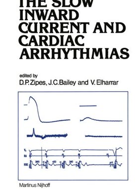 【预订】The Slow Inward Current and Cardiac ...