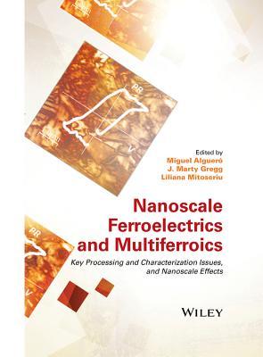 【预订】Nanoscale Ferroelectrics and Multife...