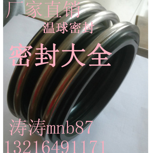 温球机械密封QM109-18/35/45/65/80/90/100【石墨对碳化硅】系列 - 封面