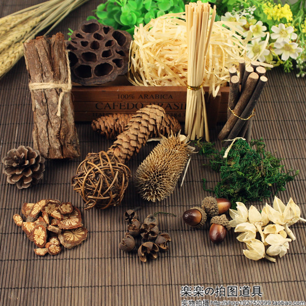 干花树枝小柴火树皮松果干果天然自然森林道具 网店拍照道具拍摄