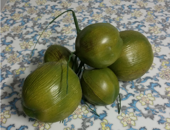 高仿真椰果 假椰果 假椰子树装饰拍摄道具果子 仿真椰子果 出云居