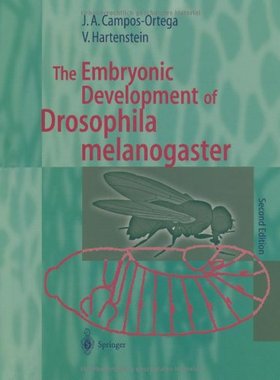 【预订】The Embryonic Development of Drosoph...