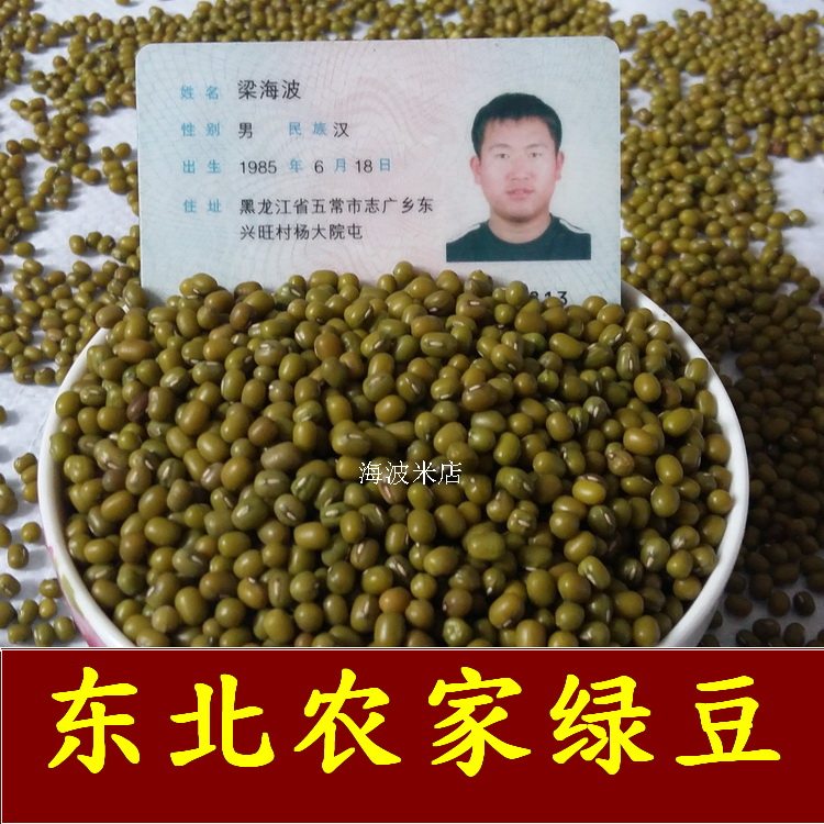 2025年新绿豆发芽绿豆东北农家 绿豆五谷杂粮无农药化肥500克
