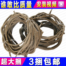 ���ٿ���ɽ�ٗl�tɽ�����b��ٷ��������~��֦�ɻ�c�ܵ��(y��ng)�_(t��i)�b�