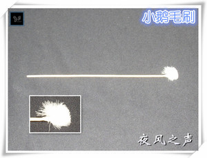 养蚁常用物品 蚂蚁换巢的好帮手 转移蚂蚁专用 小鹅毛刷