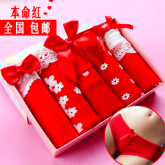 Slip jeunesse luxueux en coton - Ref 645502 Image 9