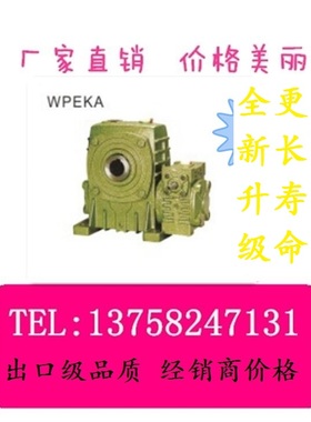 WPEKA WPEKS 双级变速机 立式 大速比 蜗轮蜗杆 中型铁壳WP减速机