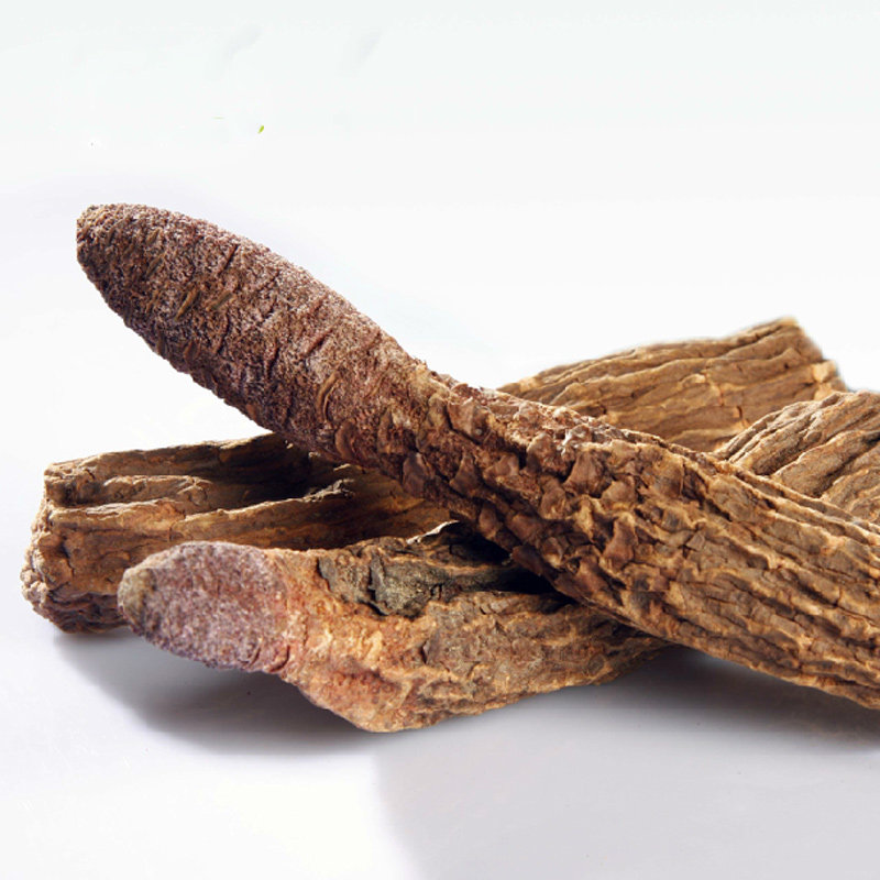 新疆特产整支金锁阳 沙漠沙参500g非肉苁蓉大芸泡酒料下酒料