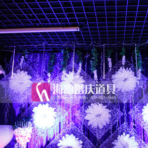 d海韵婚庆道具 婚礼场地用品 灯带 舞台背景装饰 LED串灯 流星雨