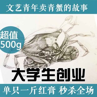 满膏状态 正宗三门青蟹 特大超大大红膏蟹母螃蟹红鲟鲜活海鲜水产