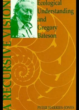 【预售】Recursive Vision