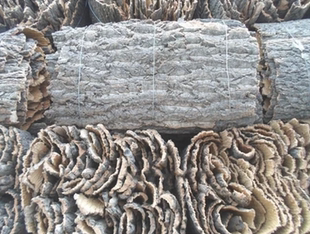 榆树皮老树树皮装饰背景墙包水管工艺品材料圣诞老树皮拍摄道具