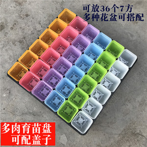 加大多肉育苗盘正方形小黑方托盘叶插盘育苗盒塑料花盆整理框保湿