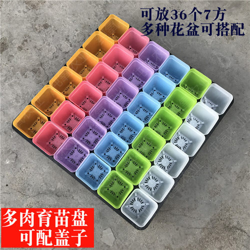 多肉正方形托盘塑料保湿育苗盒