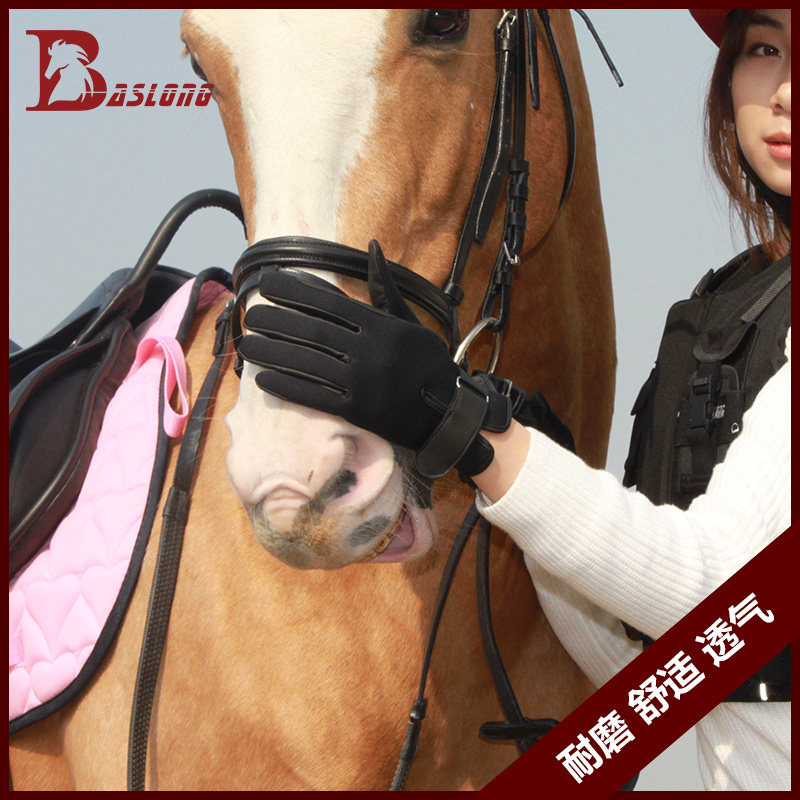 Article sports equestres BASLONG - Ref 1382664 Image 1