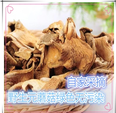 元蘑 东北元蘑菇 黄蘑 豆蘑东北特产野生菌 绿色无污染干货 250G