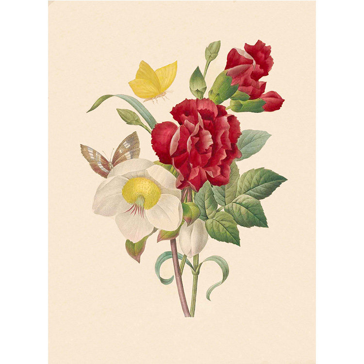 苏绣diy套件初学蝶恋花月季花手工自学刺绣图案送教程非十字绣