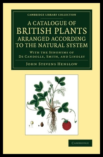 美国库房发货，通常付款后5-8周到货！