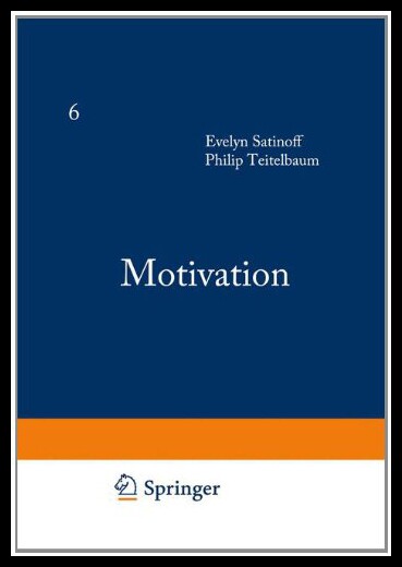 【预售】Motivation