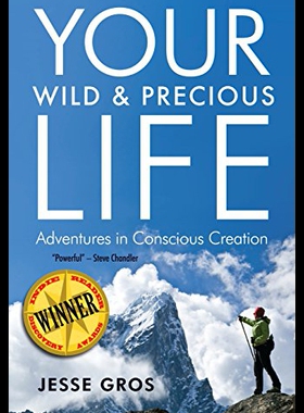 【预售】Your Wild & Precious Life: Adventures in Consciou