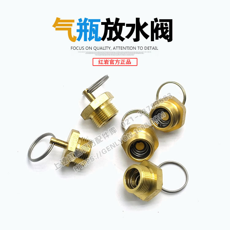 上汽正品配件红岩杰狮金刚原厂图片