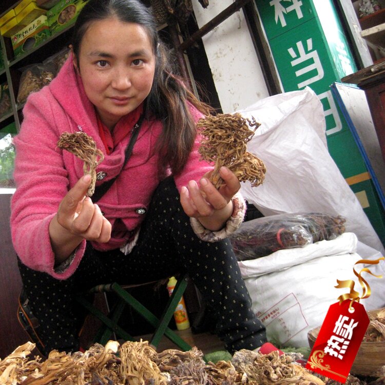 【青川玉珍山货__刷把菌】青川土特产 自收特级 干货 200g