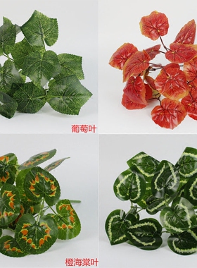 田园植物墙阳台盆栽绿萝装饰花艺