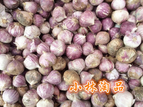 小林淘品 独蒜四川乐山犍为特产农家栽种大蒜独蒜干新鲜调料蒜头 - 封面