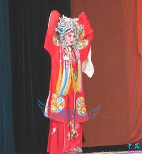 新款戏剧戏曲用品戏装京剧戏曲服装女团花披女披绉女团花披包邮