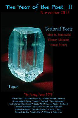 【预售】The Year of the Poet II November 2015