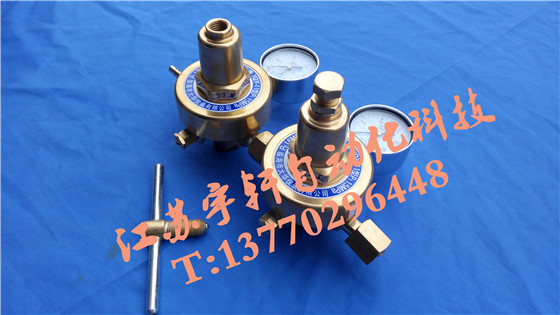 减压器全铜减压阀浙江大华