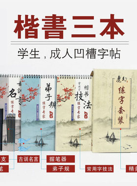 大雅轩楷书练字帖成人练字板小学生儿童凹槽正楷练字硬笔速成
