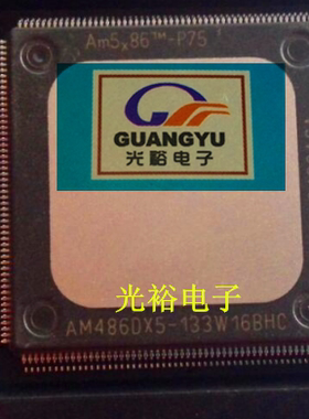 AM486DX5-133W16BHC,AM486DX5-133全新保证质量，包上机，可直拍