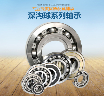 深沟球轴承 进口斯凯孚SKF轴承6312 6313 6314 6315 正品进口轴承