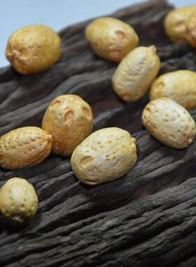 自己家乡湖南产金黄色五眼六通菩提子 山菠萝 滴血莲花 橄榄核雕