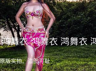 鸿舞衣专业量身定制2016.12.21买家秀上新 肚皮舞鼓舞演出服装