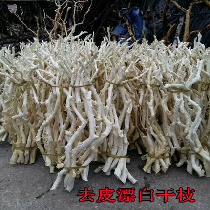 天然新鲜龙骨桔子树杆婚庆造型树大厅落地装饰树杆商场摆放许愿树