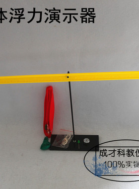 气体浮力演示器 J21018 初中物理实验器材 教学仪器