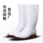 Cao su vàng thực phẩm cao cấp đặc biệt mưa trắng giày cao ống không thấm nước giày chống trượt axit chống dầu và giày an toàn kiềm nhà bếp - Rainshoes giày chống nước