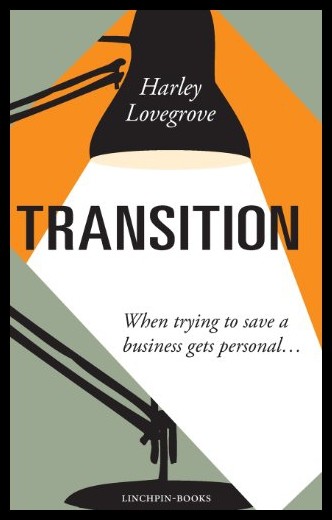 【预售】transition