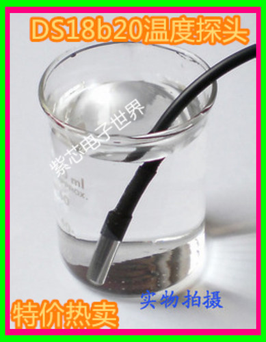 封装防水型温度传感器
