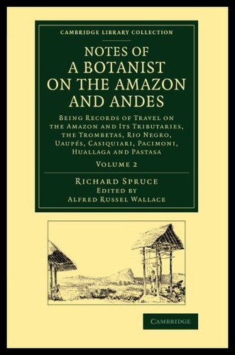 美国库房发货，通常付款后5-8周到货！