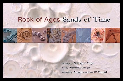 美国库房发货，通常付款后5-8周到货！