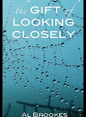 【预售】The Gift of Looking Closely
