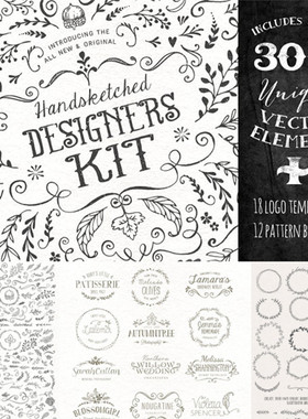 [597]AI矢量设计素材 300个手绘花纹装饰欧式蔓藤logo花环psd高清